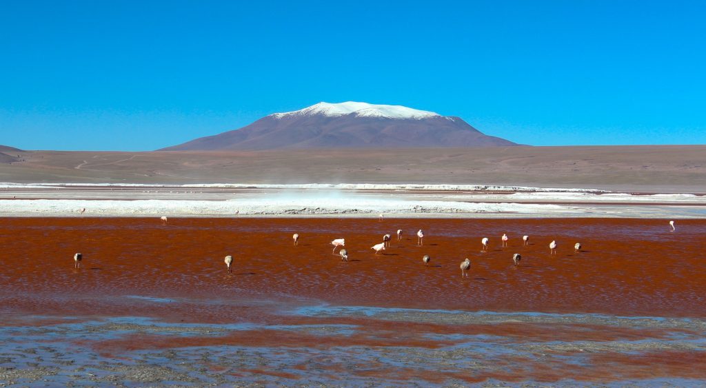 Laguna Colorada