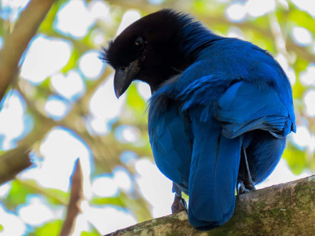 "contacto agencia turismo en floripa"